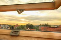 rated Birley roof window companies